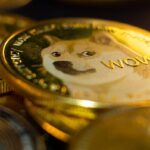 Next Memea Coin Explosion